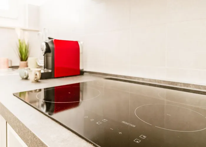 Apartment Residenza Po - Mole Antonelliana & Museo Egizio *